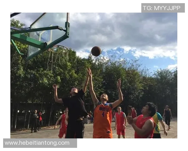 余嘉豪的成长之路与篮球梦想的追逐历程揭秘