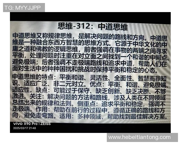 在顾全大局中寻求平衡与和谐的智慧与实践