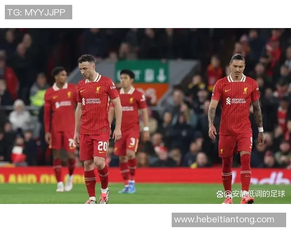 塞利维亚主场迎战利物浦双方争夺欧战小组出线关键战