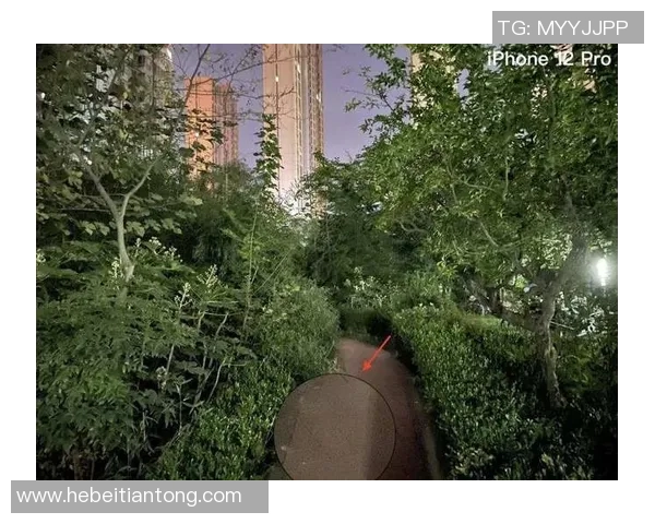 波特诺山丘与捍卫者的较量谁能在这场对决中胜出 波特诺山丘与捍卫者的较量谁能在这场对决中胜出