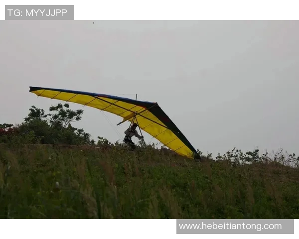 广州极限运动队力求突破极限推动运动变革的热议与探索