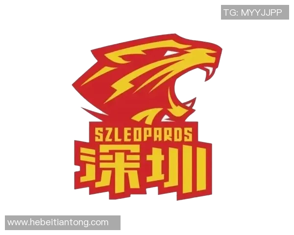 浙江广厦与稠州银行激战正酣谁能在这场对决中笑到最后