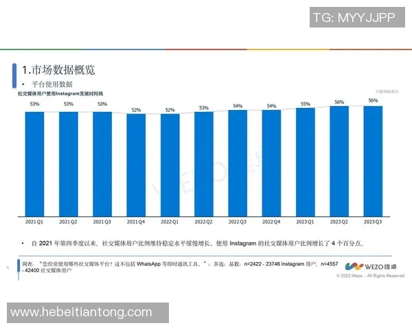 深入探讨Instagram平台节奏表现与数据分析的关系及其对用户互动的影响