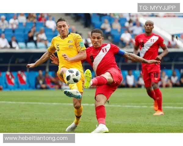 法国与秘鲁比赛欧赔分析及对比研究