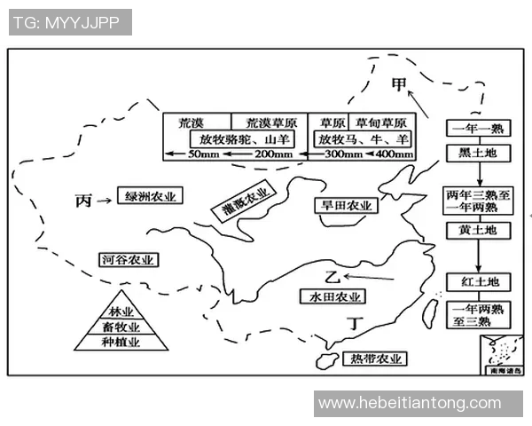 赞岐与岐阜的文化差异与经济发展对比分析探讨