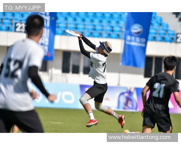 南京飞盘队战术革新引发热议探索飞盘运动新未来