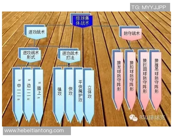 南京排球队反击战术深度解析与训练策略探讨