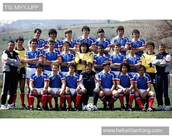 北京网球队在世界杯中的团队协作表现分析与点评