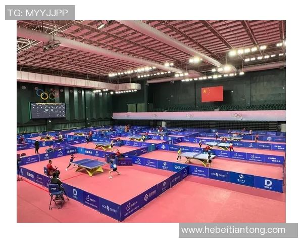 刘娜专访：从青涩小将到乒乓球明星的辉煌历程回顾