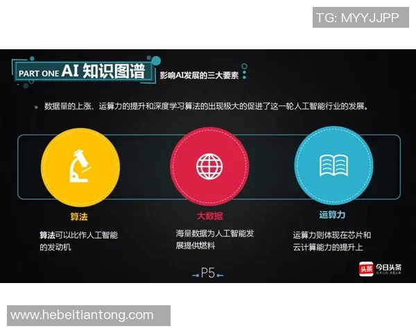 独家解析WE意识形态的异同与影响力深度对比