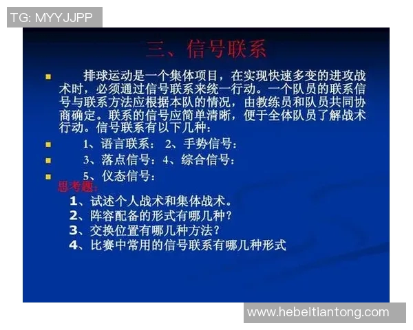 上海排球队进攻体系解析与战术创新探讨